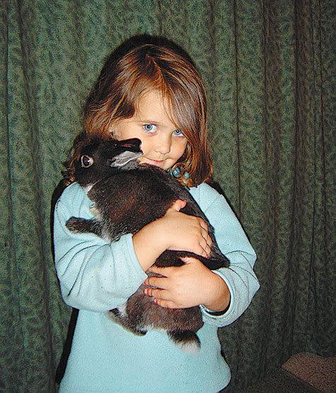 Кролики-барашки