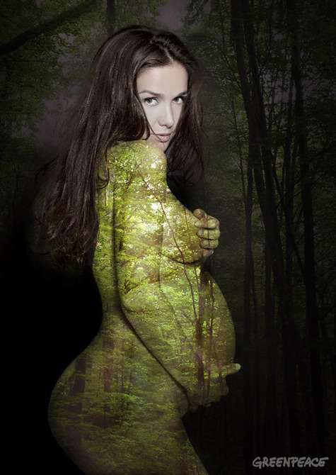 Фото: www.greenpeace.org/argentina/es/