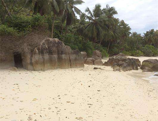 «Дом-2» переезжает на Сейшельские острова. Фото: материалы пресс-служб.
