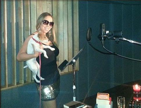 Мэрайя Кэри сняла отель для своих собак