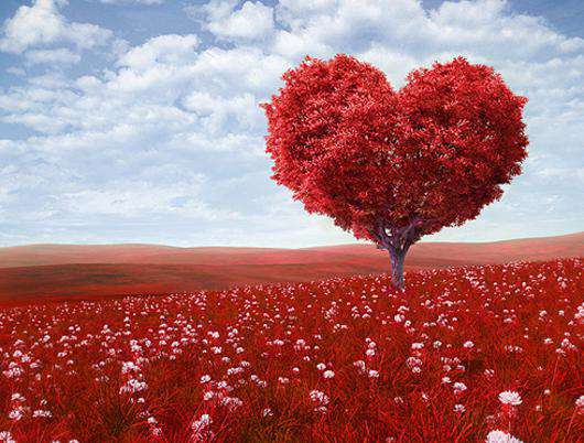 Фото: Fotolia/PhotoXPress.ru.