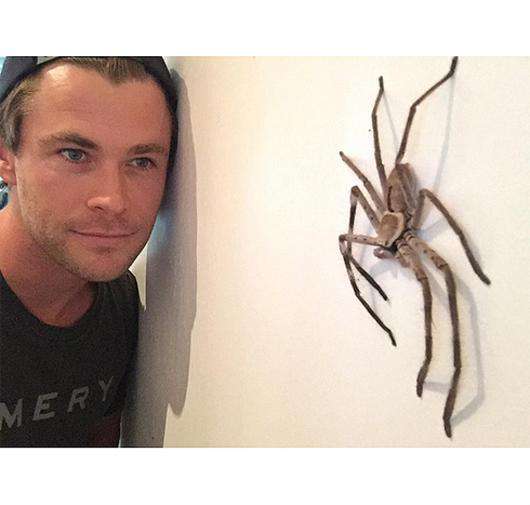 Крис Хемсворт. Фото: Instagram.com/chrishemsworth.