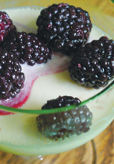 Buon appetito: готовим панна котту с ежевикой