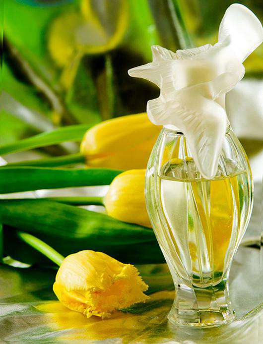 Выбираем весенние ароматы. Фото: Lori.ru.