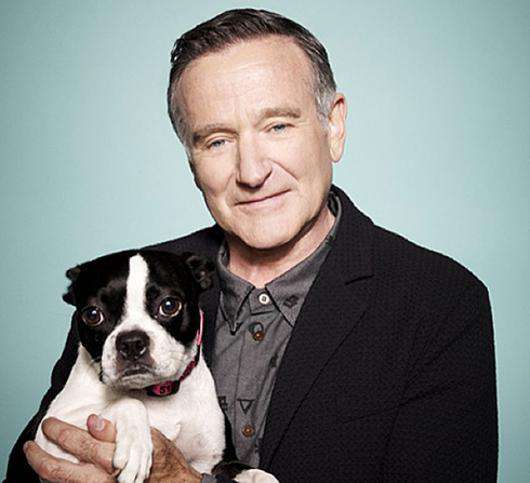 Робин Уильямс. Фото: All Over Press. 