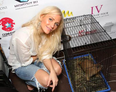 Звезд хотели накормить сурчатиной