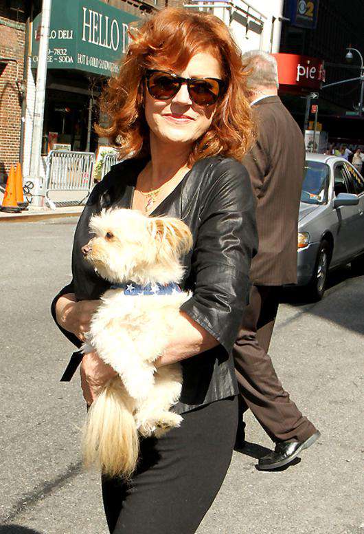 Сьюзан Сарандон. Фото: All Over Press.