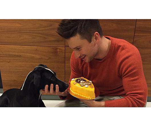 Сергей Лазарев будет печь торты для домашних животных. Фото: Instagram.com.