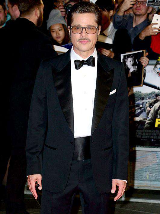 Брэд Питт готов вступить в бой. Фото: Rex Features/Fotodom.ru.