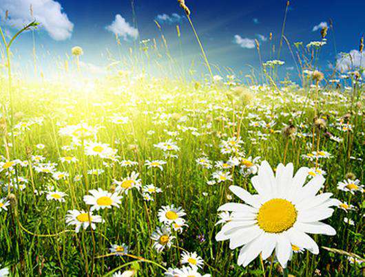 Развенчиваем все мифы о весне. Фото: Lori.ru.