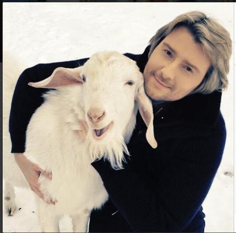 Козлы и звезды