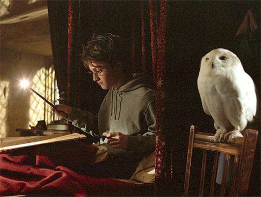 В лондонском отеле появились номера, оборудованные в стиле комнат в Хогвартсе. Кадр из фильма «Гарри Поттер и тайная комната».