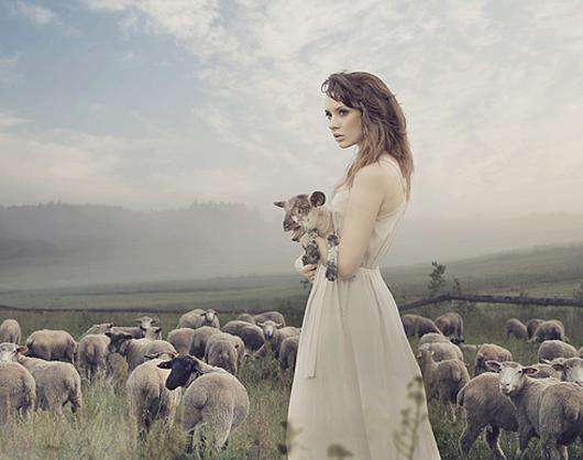 «Овца. Она действительно овца. И ее всегда все будут обманывать и предавать». Фото: Lori.ru.
