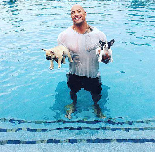 Дуэйн Джонсон спас своих щенков, которые чуть не утонули. Фото: Instagram.com/therock.