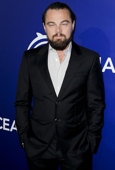 Леонардо Ди Каприо не отказывался от ребенка Рианны