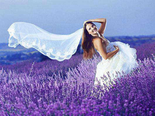 Фото: Fotolia/PhotoXPress.ru.