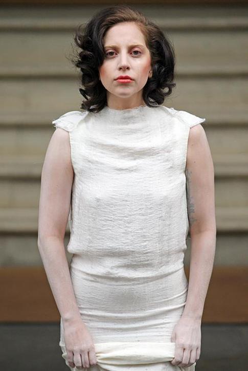 Леди Гага выступит в космосе