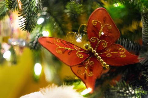 Модная елка: как выбрать и правильно украсить