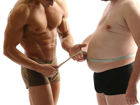 Главная особенность живота состоит в том, что от него практически невозможно избавиться. Фото: Fotolia/PhotoXPress.ru.