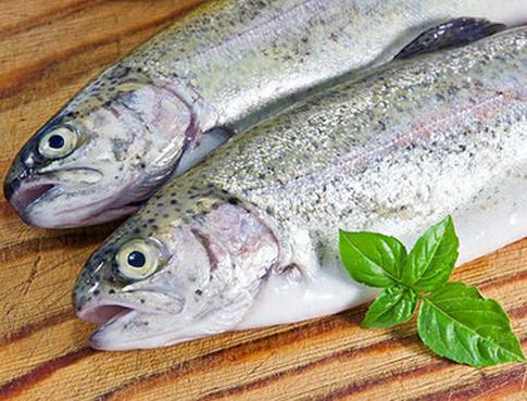 Не вся рыба одинаково полезна