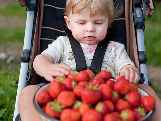 Чем полезны сезонные фрукты? Фото: Fotolia/PhotoXPress.ru.