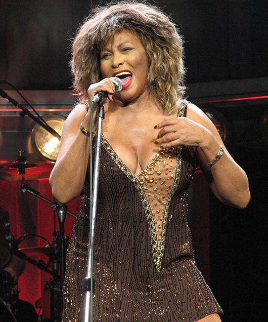 Тина тернер. Фото: Rex Features/Fotodom.ru.