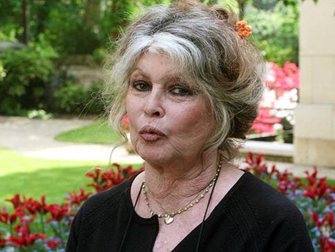 Бриджит Бардо потребует гражданство России