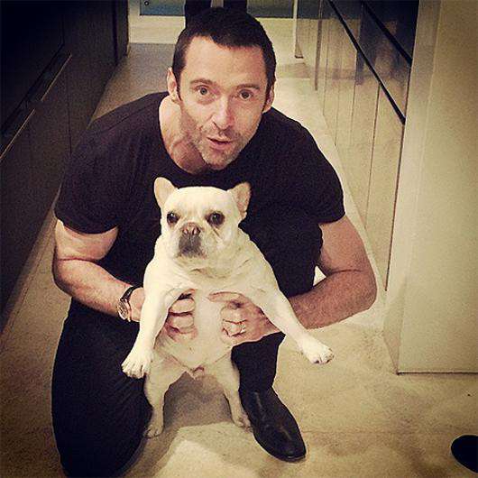 Хью Джекман был замечен с пластырем во время прогулки с собакой. Фото: Instagram.com/thehughjackman.