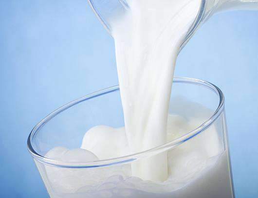Молоко может нанести здоровью существенный вред. Фото: Fotolia/PhotoXPress.ru.