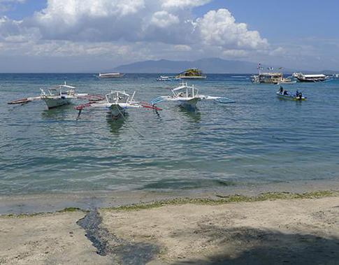 Записки тайской мамочки: «Почему Мэтт Даймон Гоша Куценко предпочитают филиппинок?»