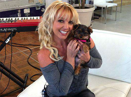 Бритни Спирс. Фото: Twitter.com.