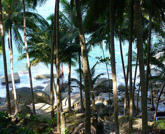 Виды Таиланда. Фото: Ольга Сапрыкина.