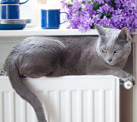 С помощью какого прибора лучше всего согреться зимой? Фото: Fotolia/PhotoXPress.ru.