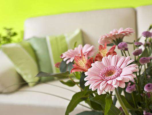 Украсьте свой дом живыми цветами. Фото: Fotolia/PhotoXPress.ru.