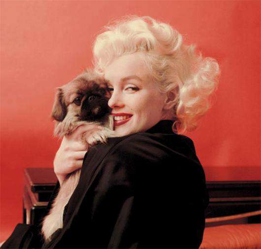 Мэрилин Монро. Фото: Facebook.com.