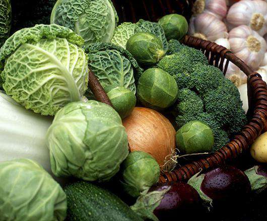 Какие продукты защищают печень? Фото: Fotolia/PhotoXPress.ru.