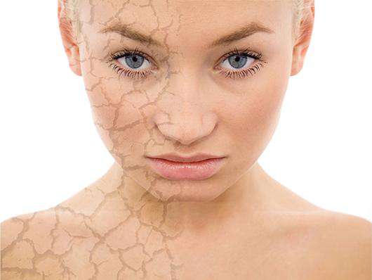 Фото: Fotolia/PhotoXPress.ru.