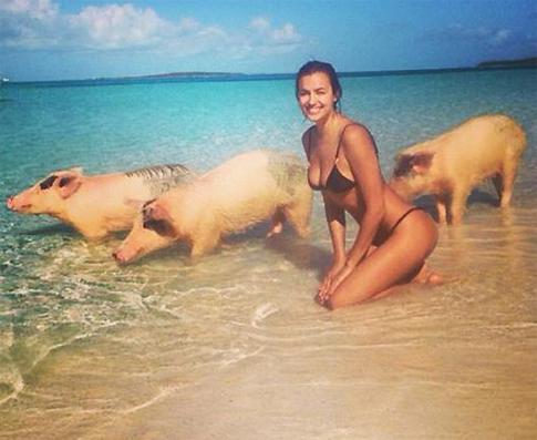Ирина Шейк купается со свиньями