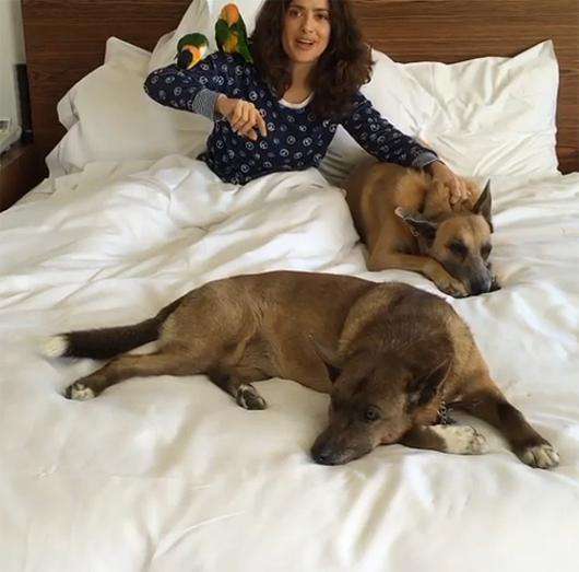 Сальма Хайек показала своих домашних питомцев. Фото: Instagram.com/salmahayek.
