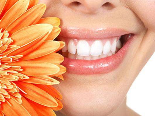 Фото: Fotolia/PhotoXPress.ru.