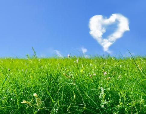 Любовь бывает разной