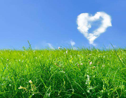 Любовь бывает разной... Фото: Lori.ru.