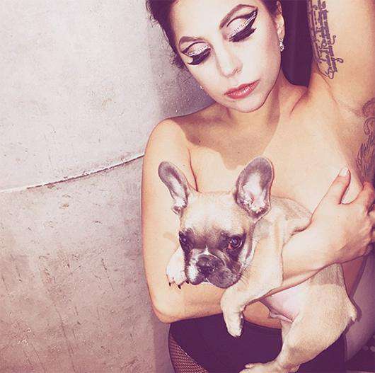 Леди Гага топлес вместе со своей второй собакой. Фото: Instagram.com/ladygaga.