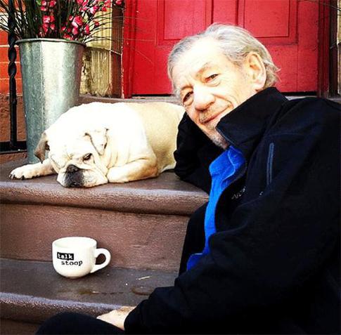 Иэн Маккелен: «Гэндальф симпатичен мне тем, что не прочь выпить и покурить»