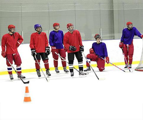 У кого из «Медведей» появится постоянная девушка?