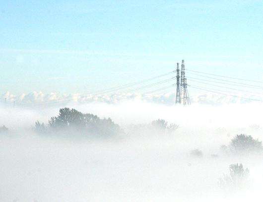 Сон в руку. Фото автора.
