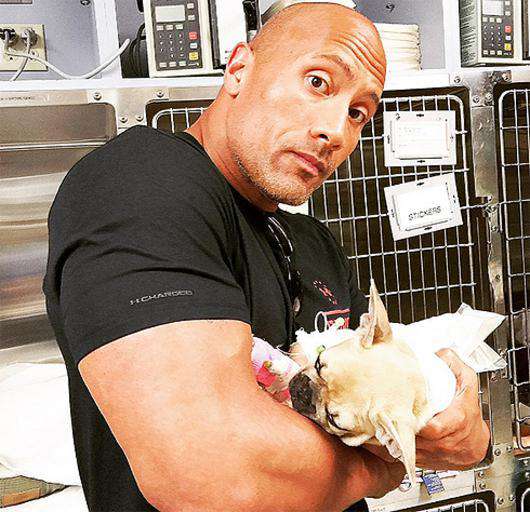 Дуэйну Джонсону пришлось усыпить одного из своих щенков. Фото: Instagram.com/therock.