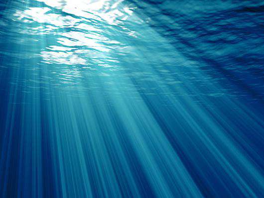 Образы природы во сне имеют значение. Фото: Fotolia/PhotoXPress.ru.