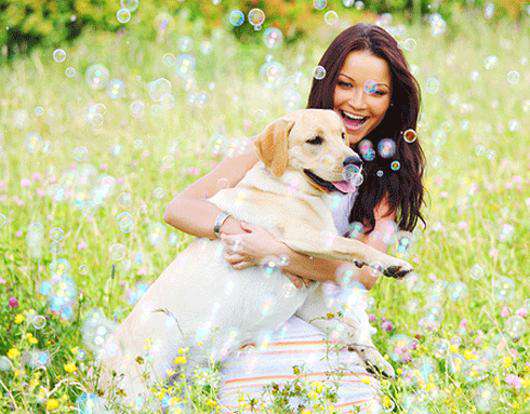 Снящиеся животные – это наша инстинктивная часть. Фото: Fotoimedia RM/Fotodom.ru.