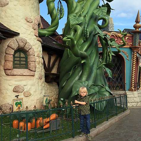 Александр Плющенко предложил забрать все овощи с грядки домой. Фото: социальные сети